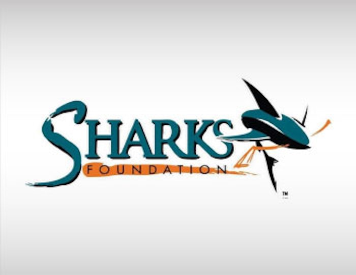 Blog-Image-Sharks-Foundation-BLOG-350x270_jpg