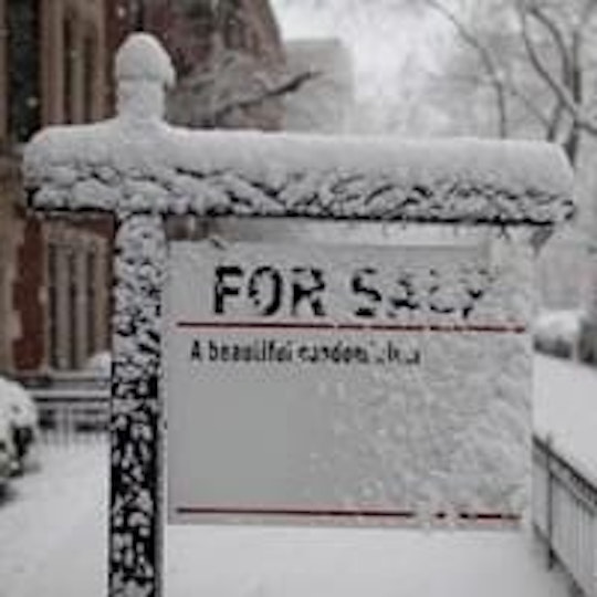 Winter Sale
